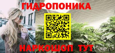 СК Славгород